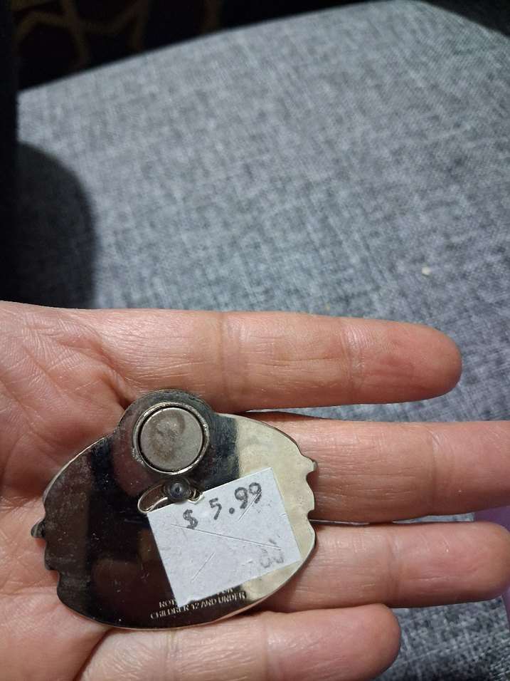 Altın Renkli San Diego Vintage Rozeti yurt dışı magnet - Görsel 2