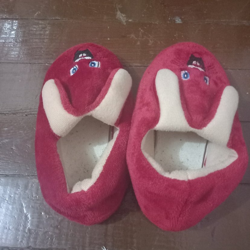 Kızlar için Nakışlı Kırmızı Sıcak Terlik - Görsel 3