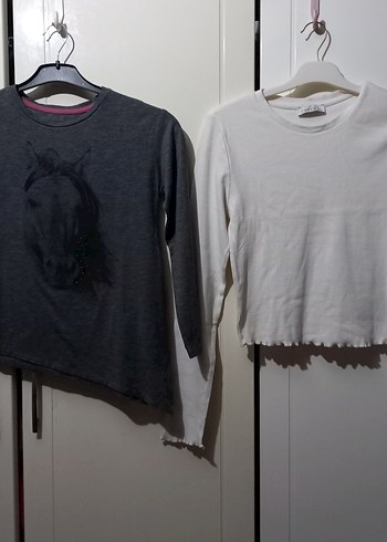 Gri Baskılı Uzun Kollu Kız Tişörtü - Görsel 2