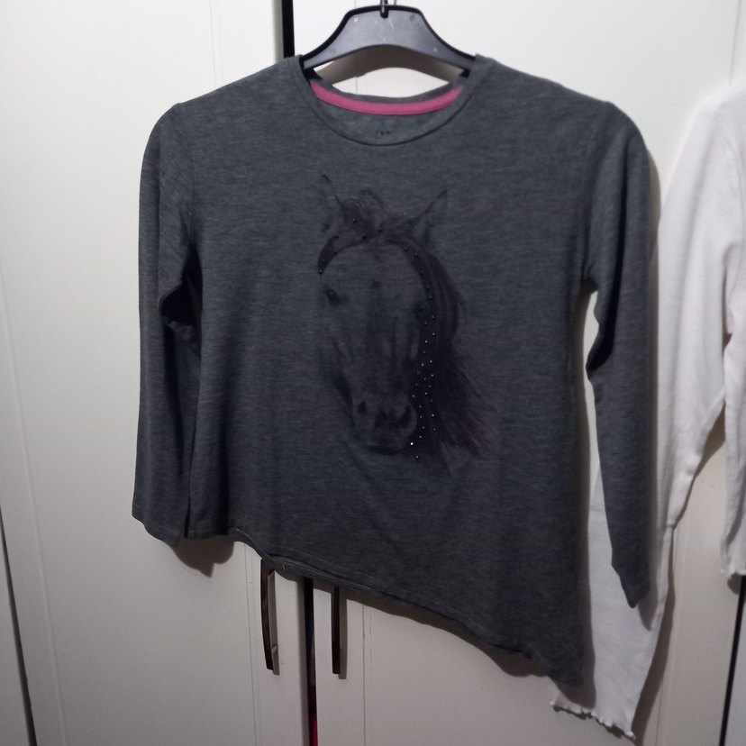 Gri Baskılı Uzun Kollu Kız Tişörtü - Görsel 3