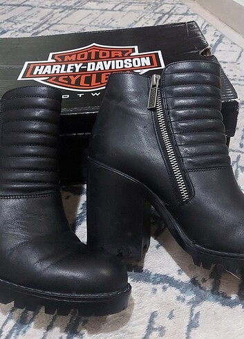 Harley Davidson Harley Davidson Bot