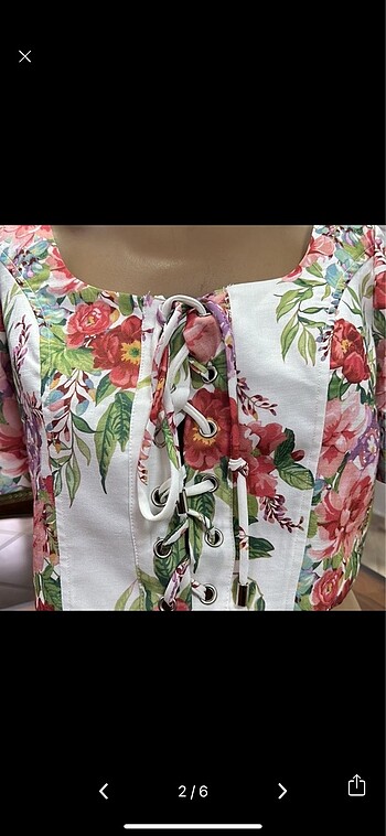 American Vintage İthal crop