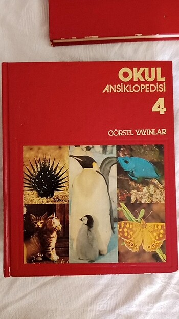  Beden Renk Temiz Kullanılmış Okul ve Bilim Ansiklopedisi