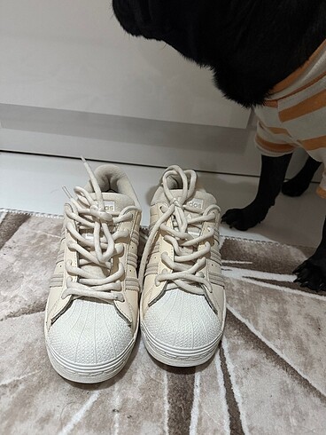 Adidas Orjinal Adidas Süperstar