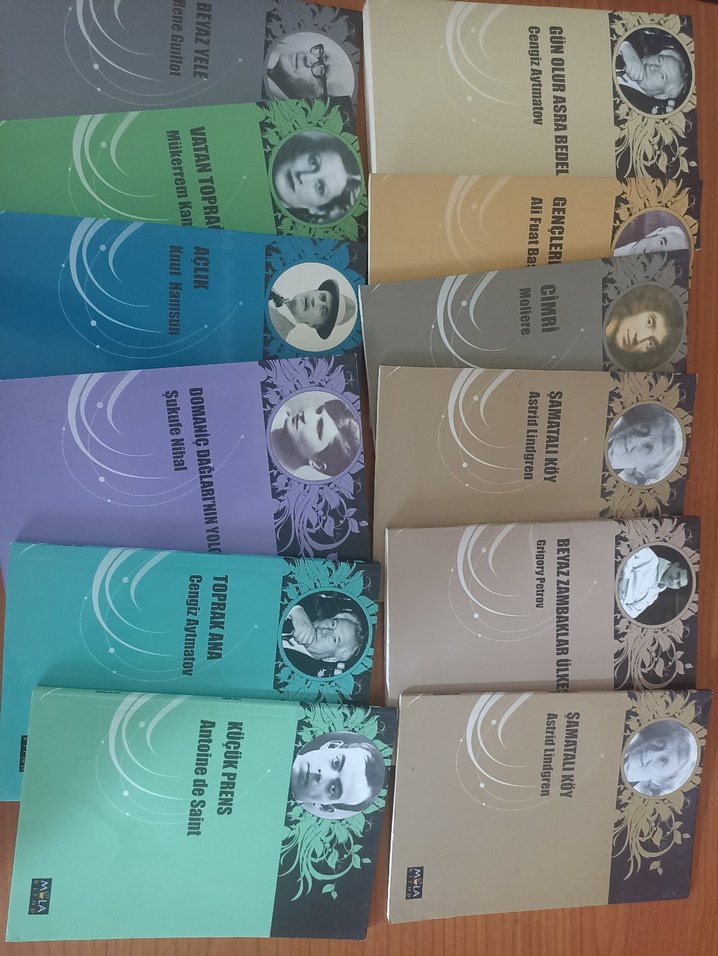 Antoine de Saint-Exupéry Kitap Seti - Görsel 2