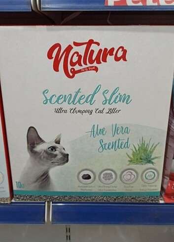Kedi kumu