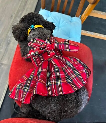 KÖPEK ELBİSE