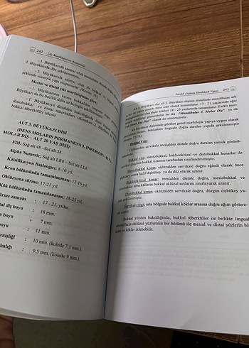  Beden Renk Diş Morfolojisi ve Anatomisi Kitabı
