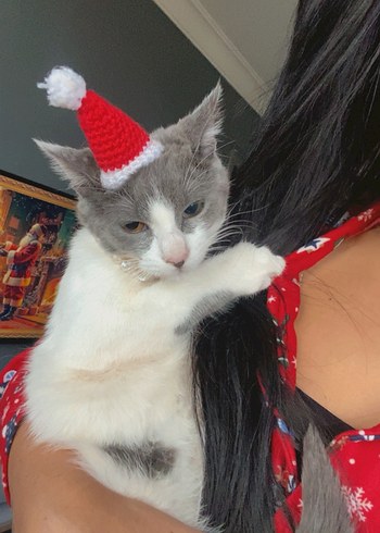 Noel Kukuleta Şapkası - Görsel 5