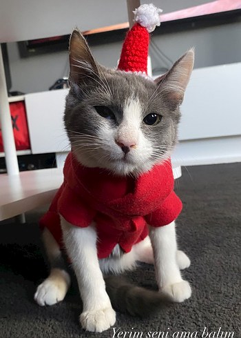 Noel Kukuleta Şapkası - Görsel 2