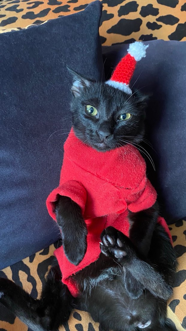 Noel Kukuleta Şapkası - Görsel 3