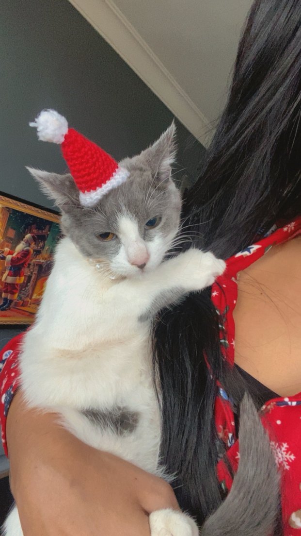 Noel Kukuleta Şapkası - Görsel 5