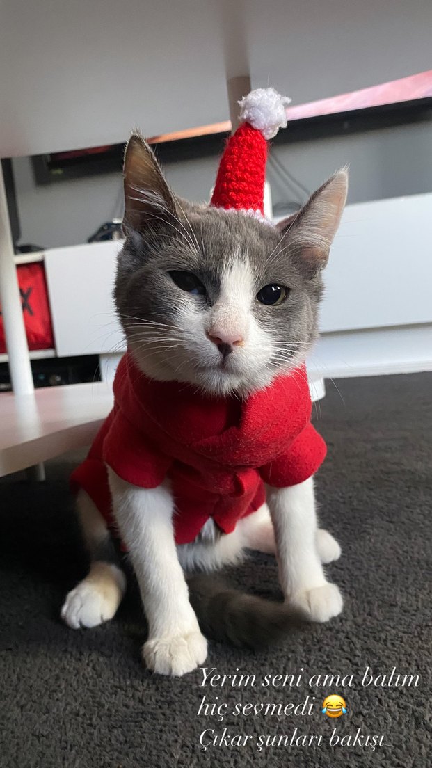 Noel Kukuleta Şapkası - Görsel 2