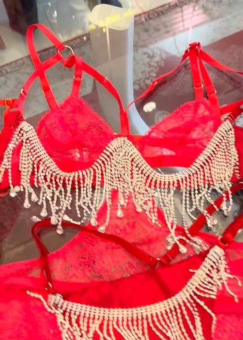 Kırmızı Taşlı İşlemeli Mini Sütyen Takımı - Görsel 2