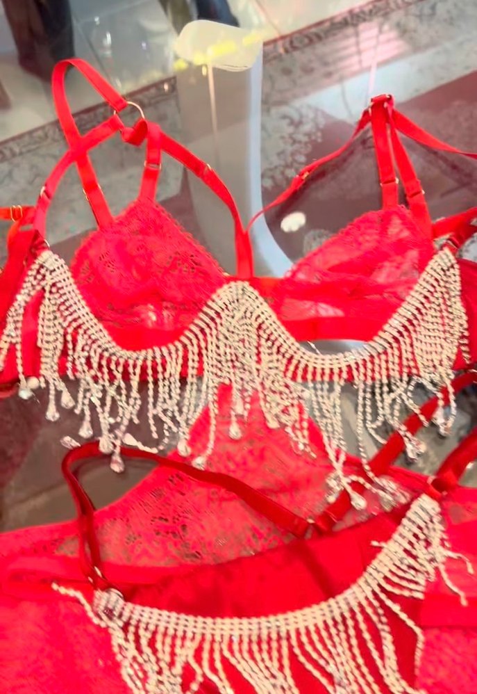 Kırmızı Taşlı İşlemeli Mini Sütyen Takımı - Görsel 2