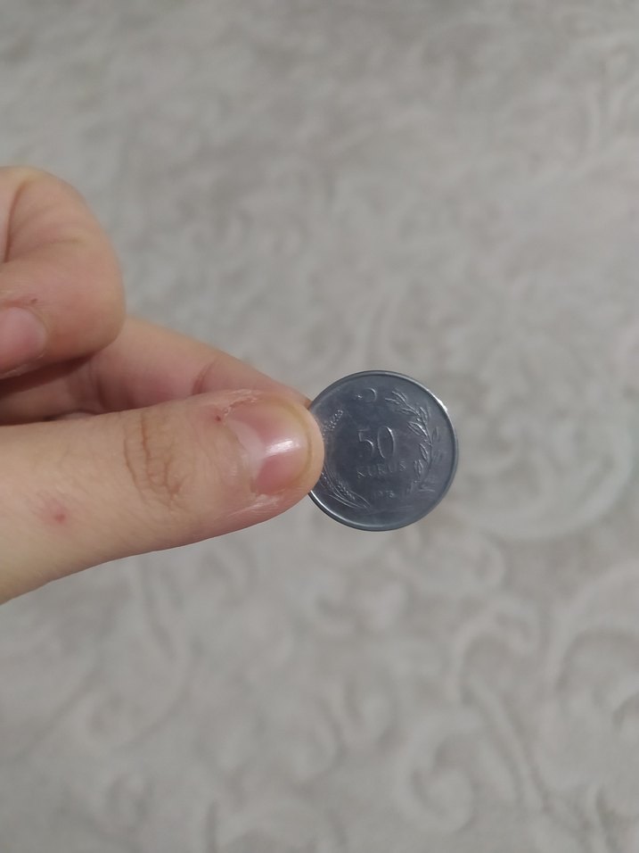 Gri Minimalist Eski Dönem Parası - Görsel 4