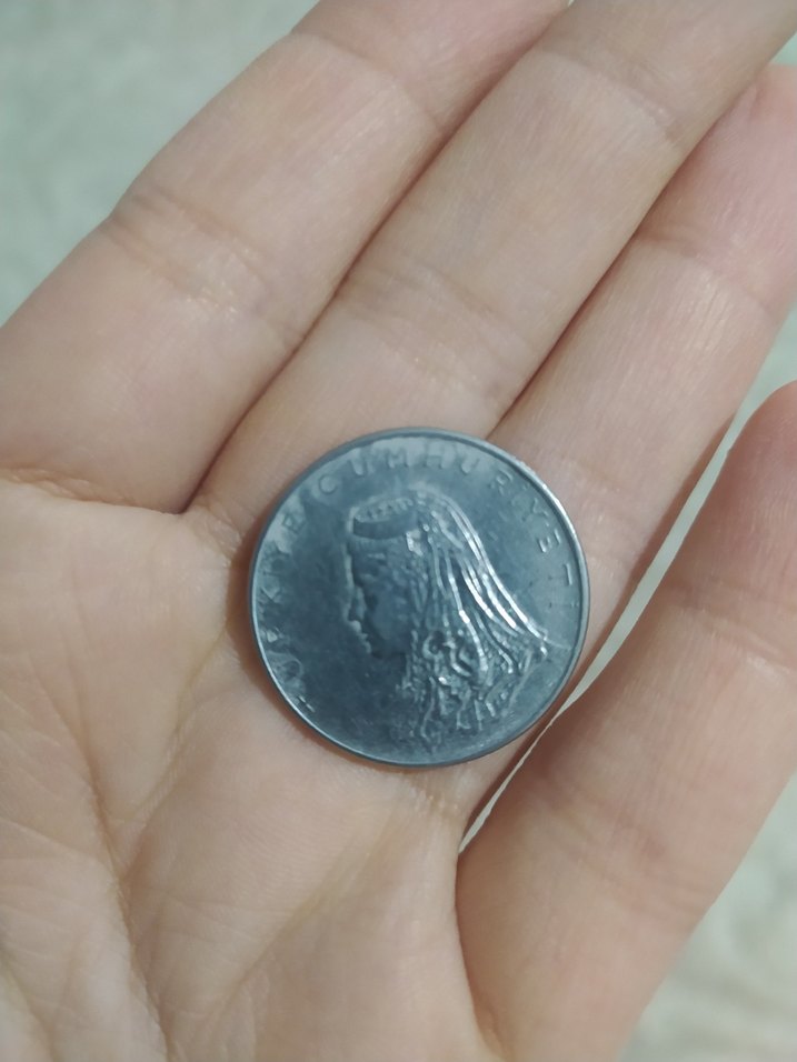 Gri Minimalist Eski Dönem Parası - Görsel 3