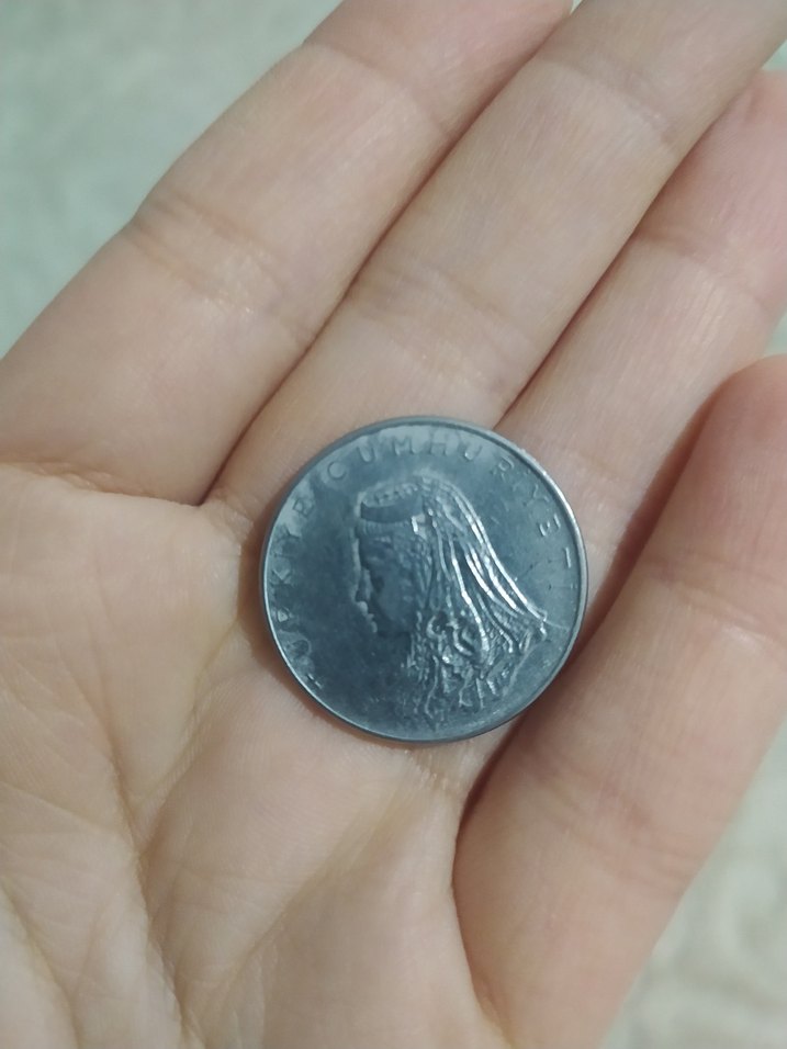 Gri Minimalist Eski Dönem Parası - Görsel 2