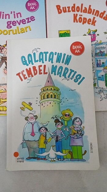 Gün ışığı kitaplığı Behiç ak hikaye kitapları - Görsel 2