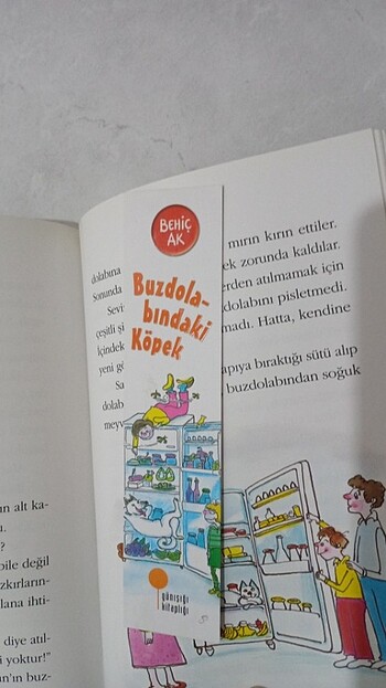 Gün ışığı kitaplığı Behiç ak hikaye kitapları - Görsel 5