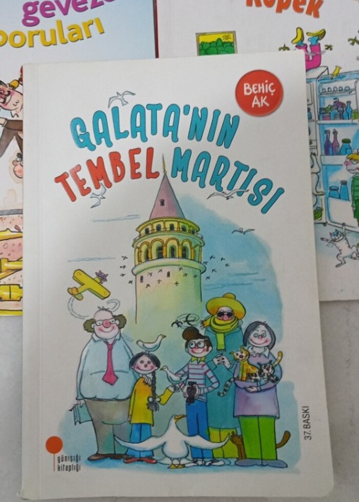 Gün ışığı kitaplığı Behiç ak hikaye kitapları - Görsel 2