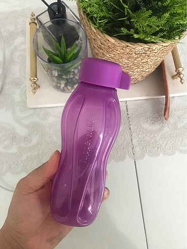 Tupperware Suluk