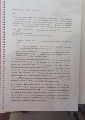 Uluslararası Çevre Politikaları Essay