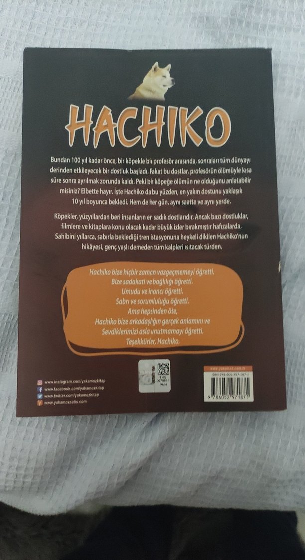 Hachiko - Bir Köpeğin Hikayesi - Görsel 2