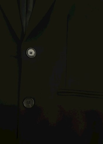 Siyah Kadın Blazer Ceket - Görsel 2