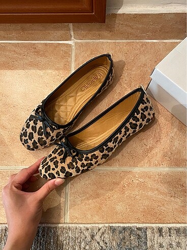 Leopar babet
