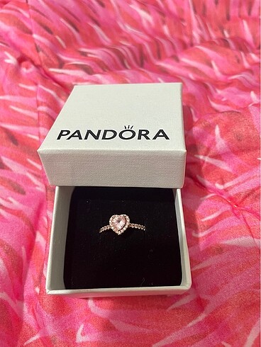 Pandora pandora