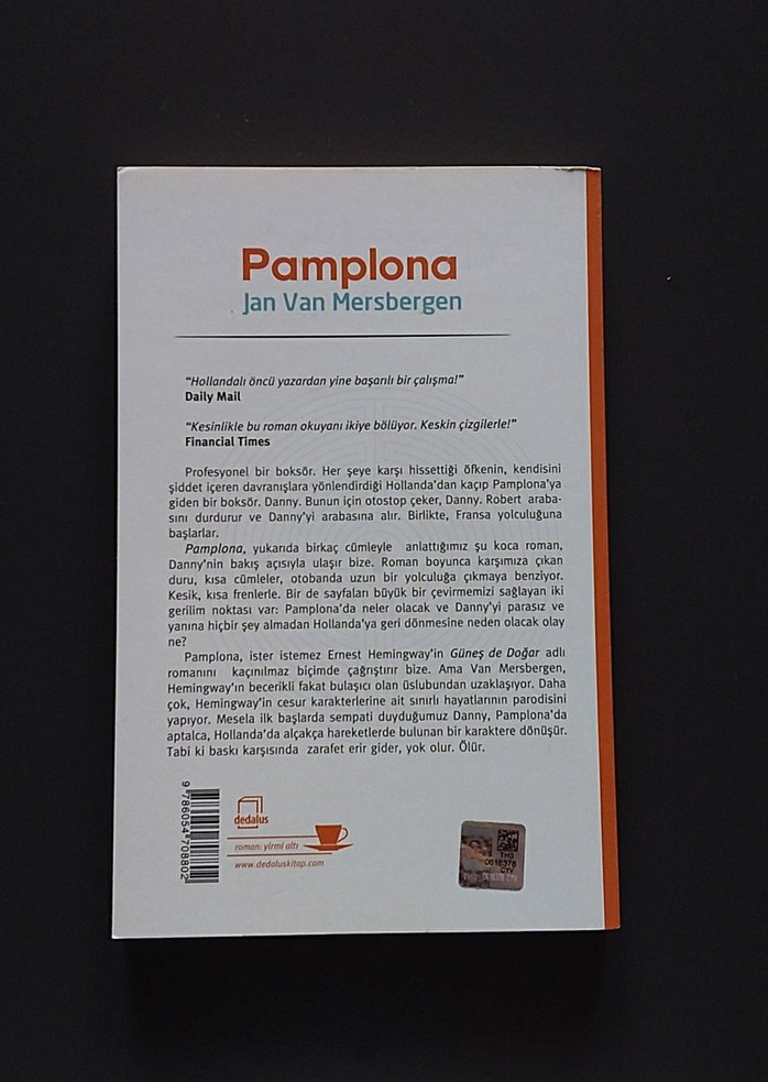 Pamplona - Jan Van Mersbergen Sanat Kitabı - Görsel 2