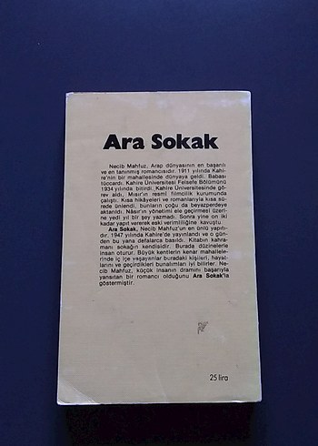 Necib Mahfuz - Ara Sokak Romanı - Görsel 2