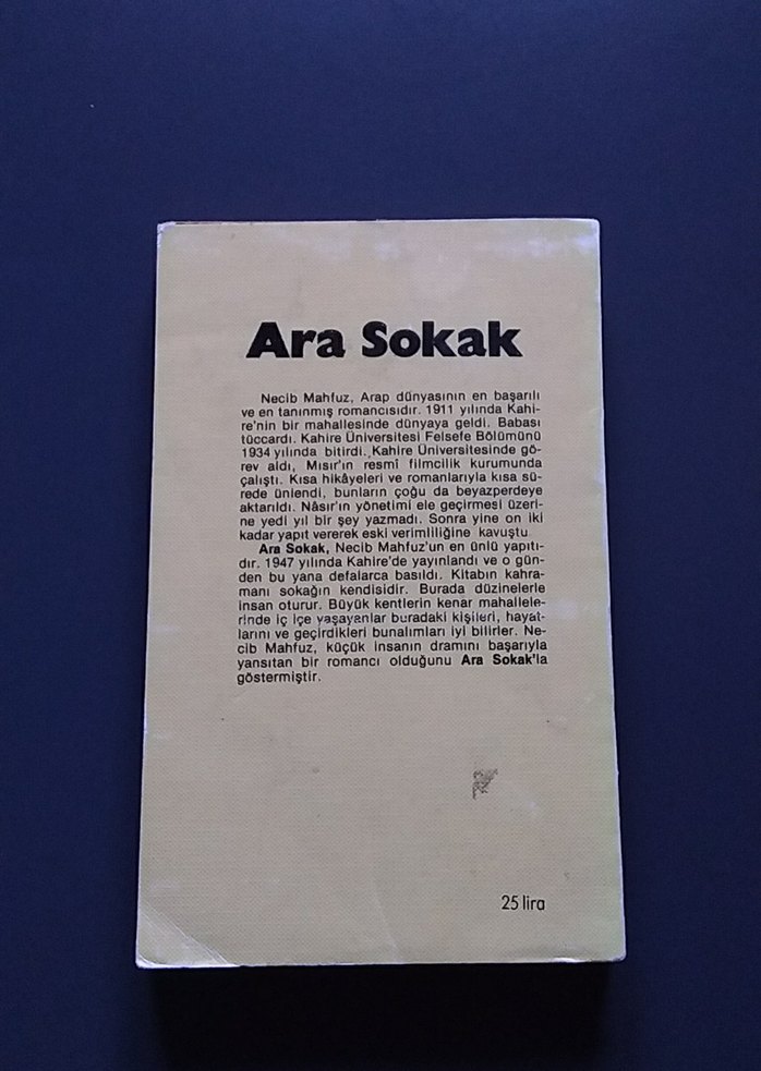 Necib Mahfuz - Ara Sokak Romanı - Görsel 2