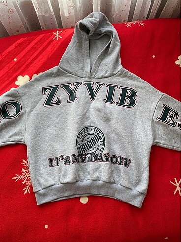 Kapuşonlu Sweatshirt