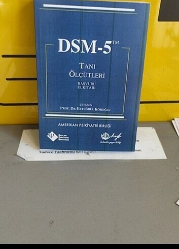 DSM kitap2 adet