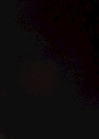 Erkek Fermuarlı Streetwear Mont - Görsel 2