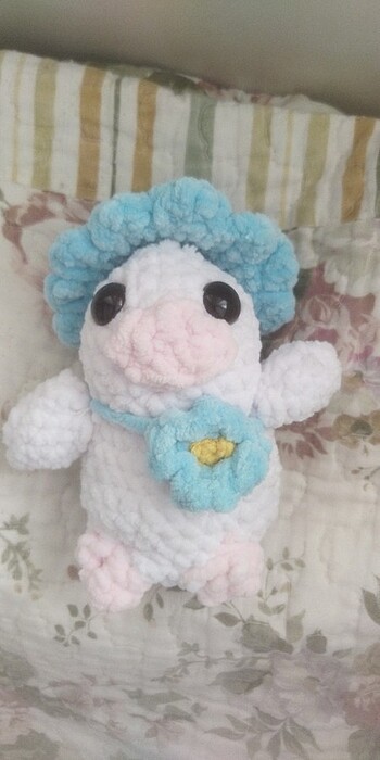  Beden Renk Amigurami 