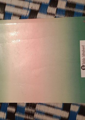 Tarih Ekoller Problemleri - Prof. Dr. Şerafettin Gölcük - Görsel 2