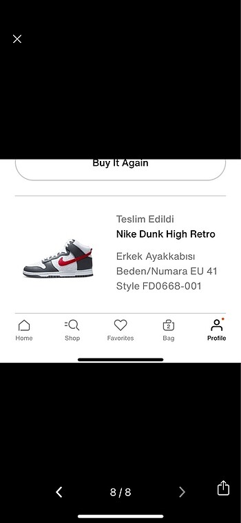 Nike Dunk High Retro