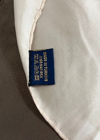 Pastel Renkli Kadın İpek Fular - Görsel 3