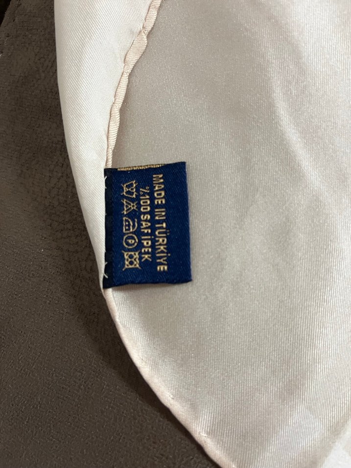 Pastel Renkli Kadın İpek Fular - Görsel 3