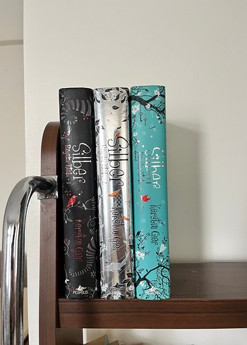 Silber Serisi - Kersbin Gier - Görsel 3