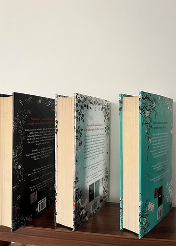 Silber Serisi - Kersbin Gier - Görsel 6