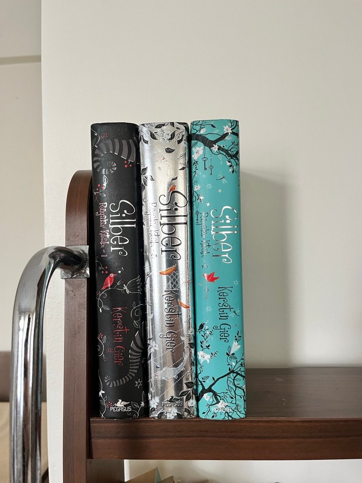 Silber Serisi - Kersbin Gier - Görsel 3