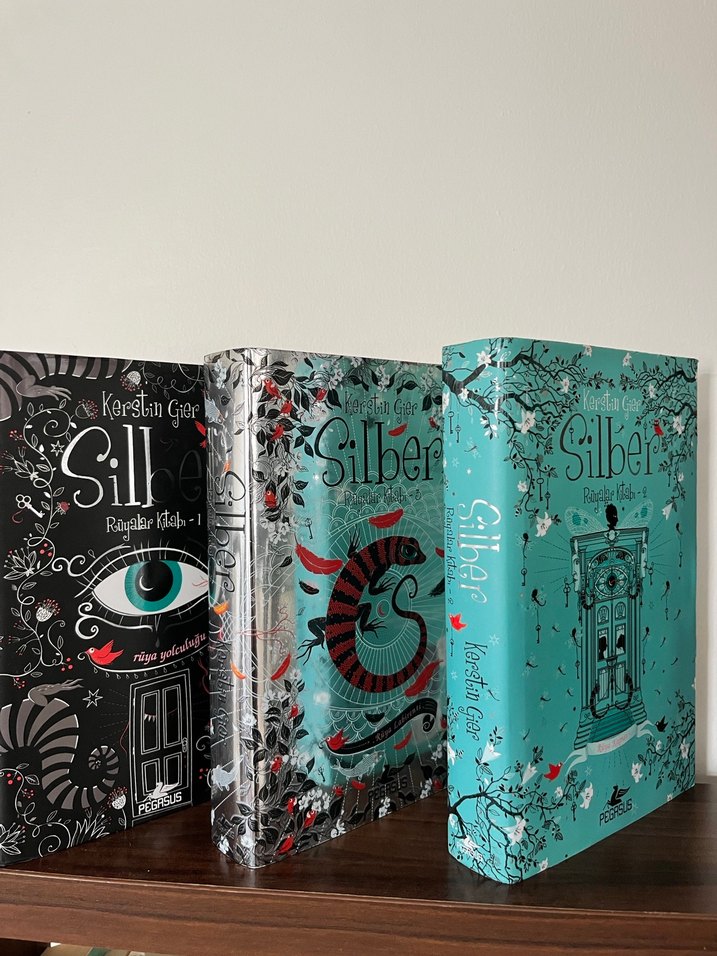 Silber Serisi - Kersbin Gier - Görsel 4