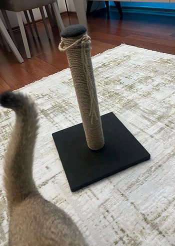 Kedi Tırmalama Direği - Görsel 3