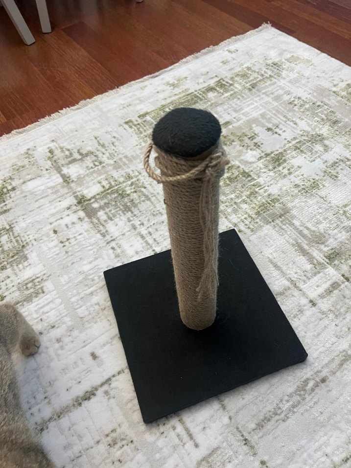 Kedi Tırmalama Direği - Görsel 2