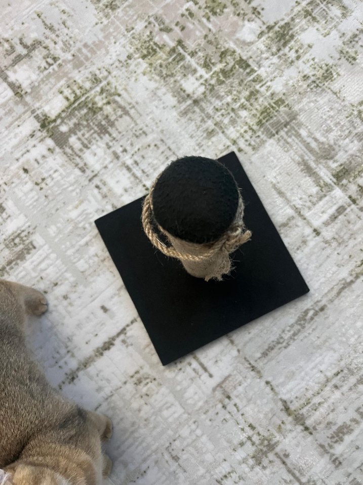 Kedi Tırmalama Direği - Görsel 4