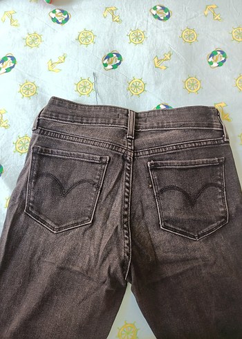 Levis levis kot pantolon